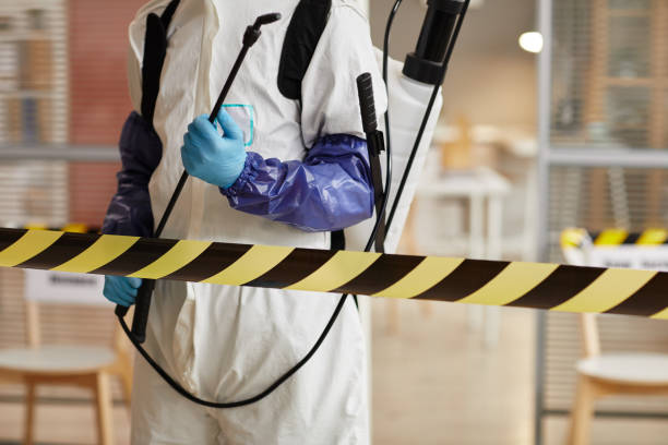 Professional Hoarding Cleanup technician working in Calistoga, CA